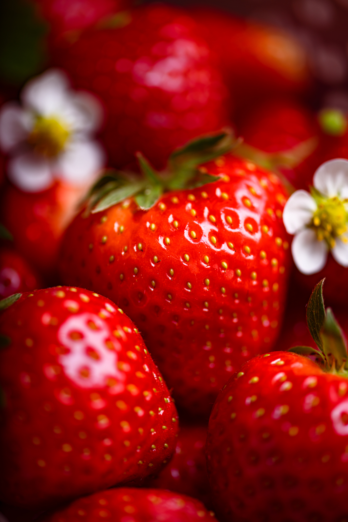 Strawberries - Image 4