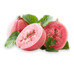 Guava Fruit