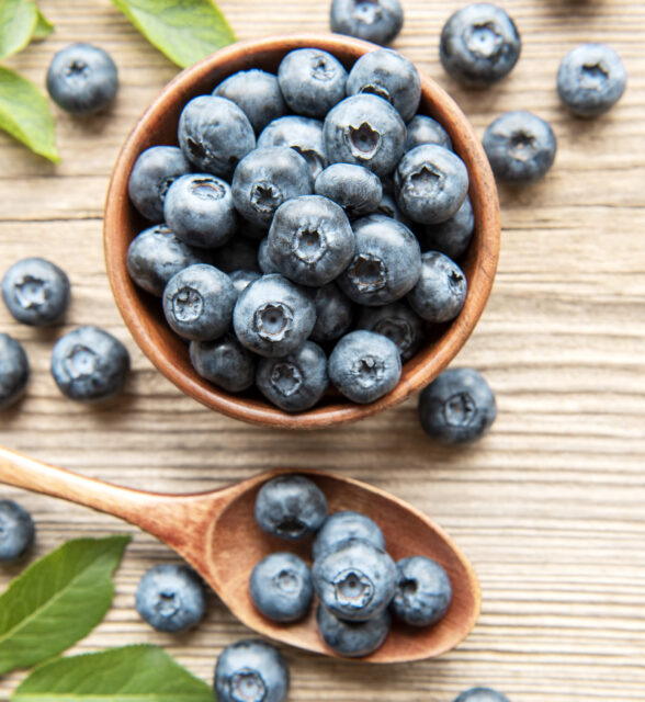 Freshly picked blueberries on a old wooden background. Concept for healthy eating