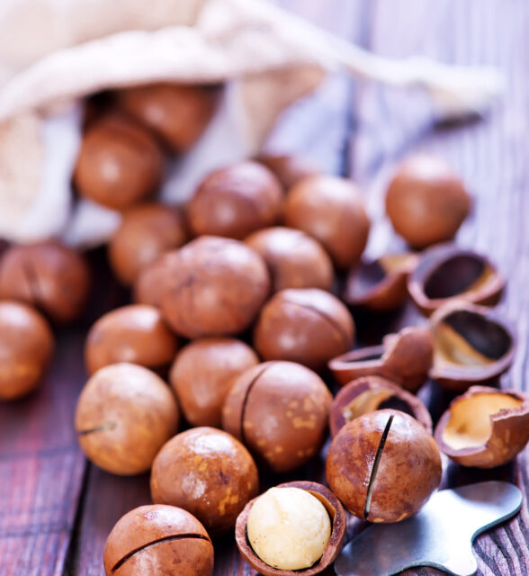 macadamia on a table, nuts in bag and on a table